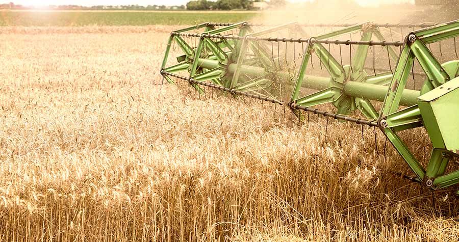 colheitadeira adquirida no consórcio de máquinas agrícolas fazendo a colheita da safra